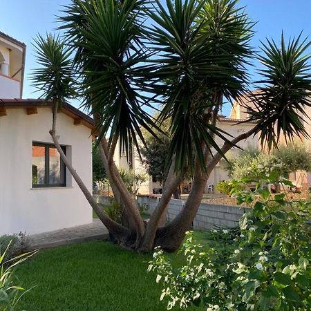Il Pepe Rosa Bed & Breakfast Posada  Exterior photo